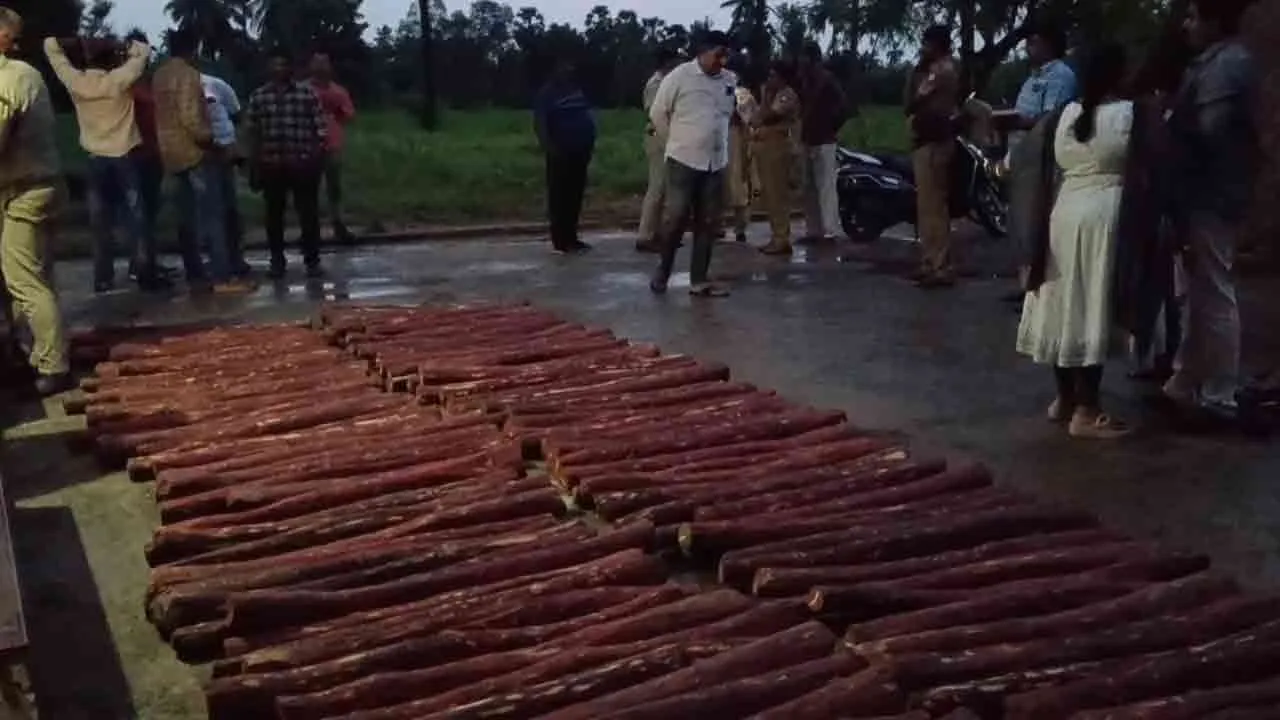  டன் கணக்கில் செம்மரக்கட்டை; அதிமுக பிரமுகர் வீட்டில் நடப்பது என்ன?  - பகீர் பின்னணி!