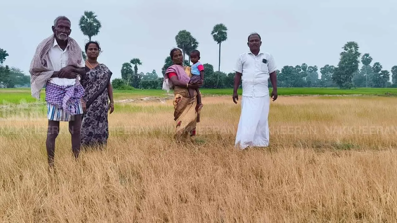  farmers in tears because Crops wither without water 