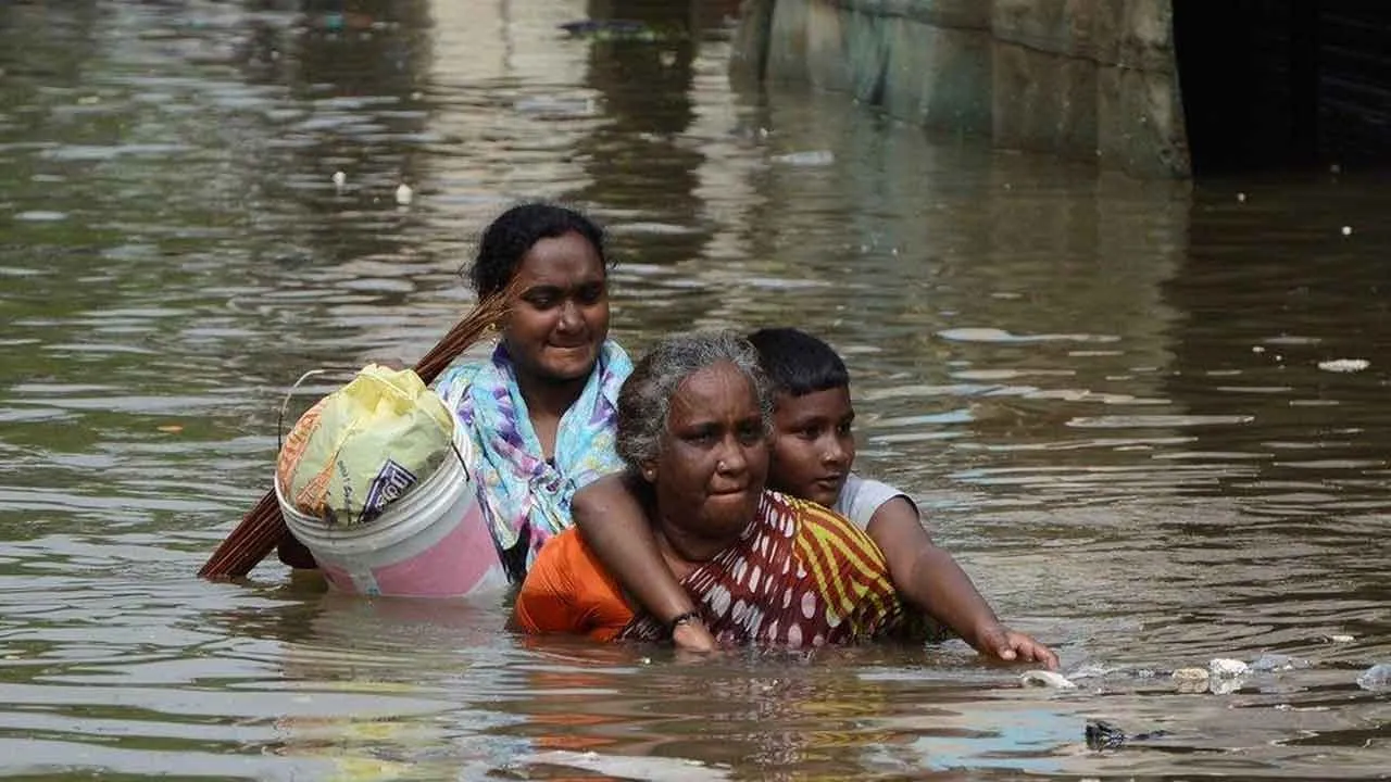  'A lion has set out...' - Coming 'December' Photograph: (CHENNAI) 