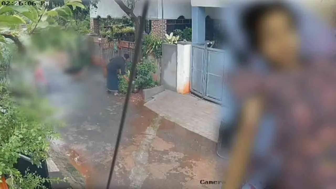  சிறுமியைத் துரத்தித் துரத்தி கடித்த நாய்; தட்டிக்கேட்ட தாயிக்கு நேர்ந்த பகீர் சம்பவம்!