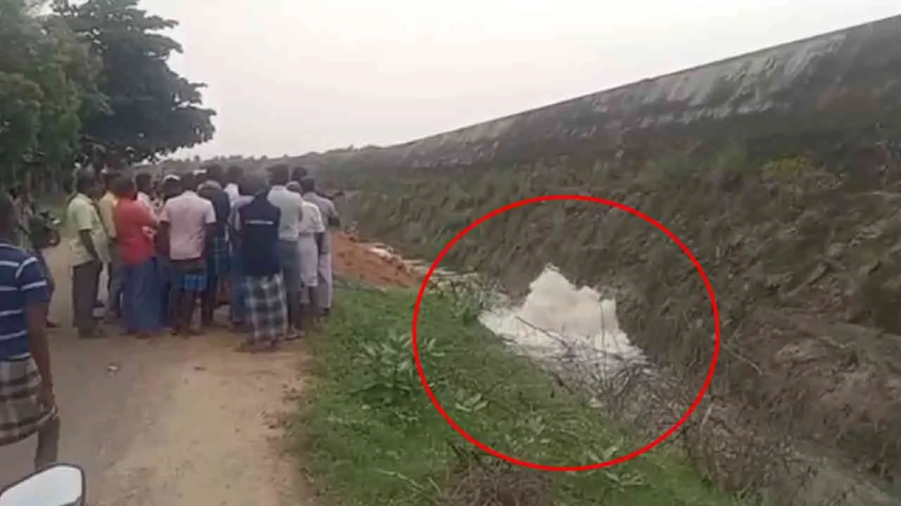  தொடரும் கனமழை; நெல்லை அணையில் திடீர் விரிசல்!