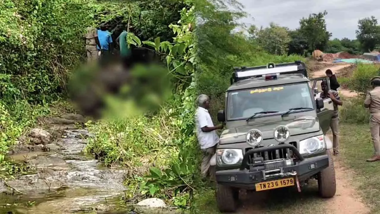  மூடி மறைக்கிறதா வனத்துறை? அடுத்தடுத்து யானைகளுக்கு நேர்ந்த துயரம்; காட்டுக்குள் நடப்பது என்ன?