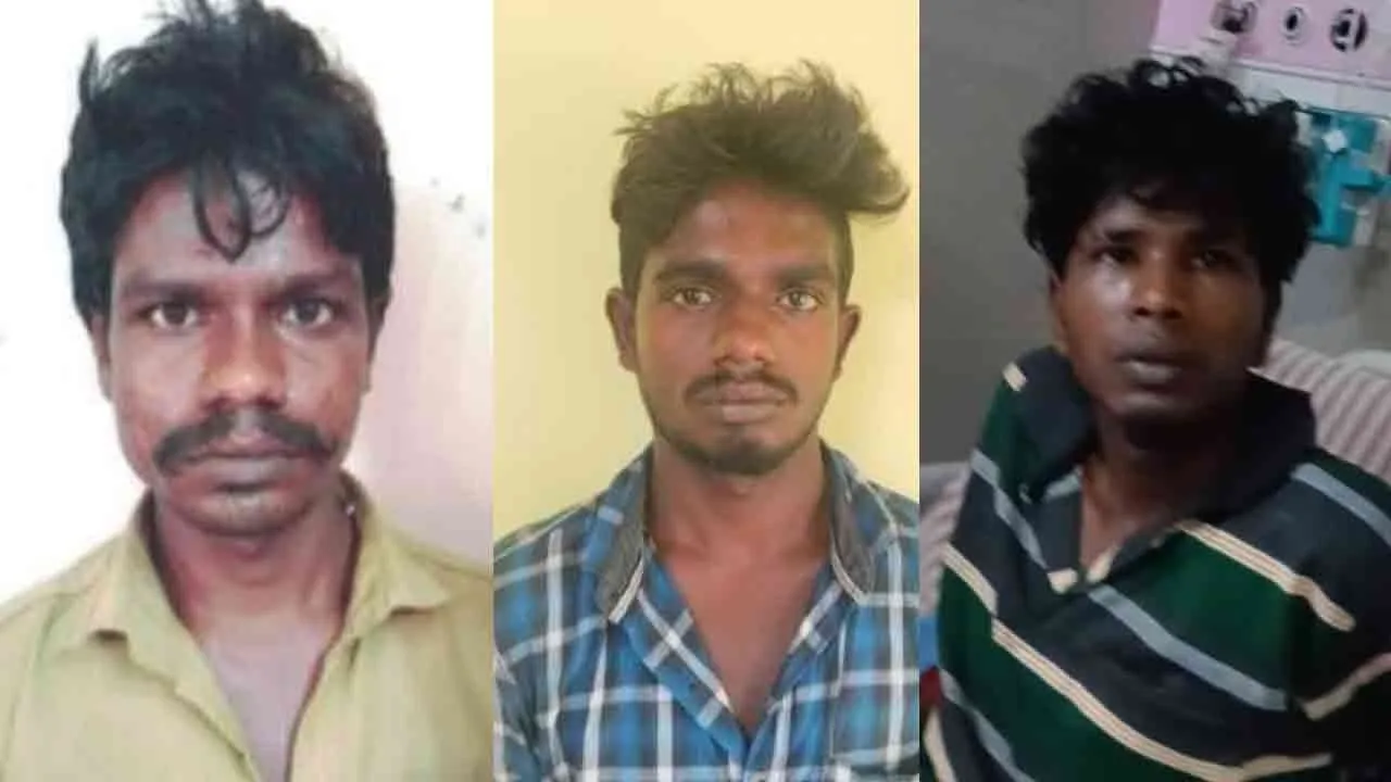  கருப்புசாமி - காளீஸ்வரன் - தவசி 