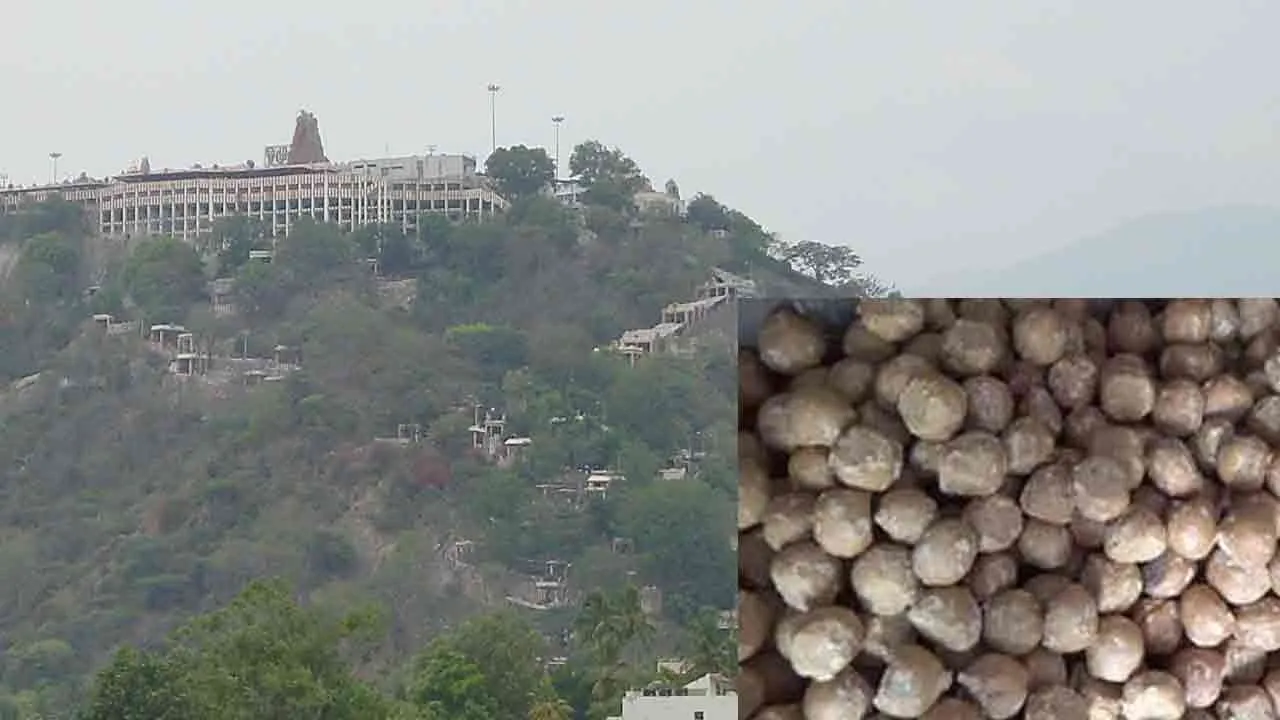  'Erode jaggery for Palani' - Purchased for one crore Photograph: (erode) 