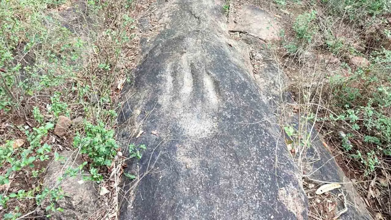 Neolithic tool abrasion pits discovered for the first time in southern Tamil Nadu Photograph: (TAMILNADU) 