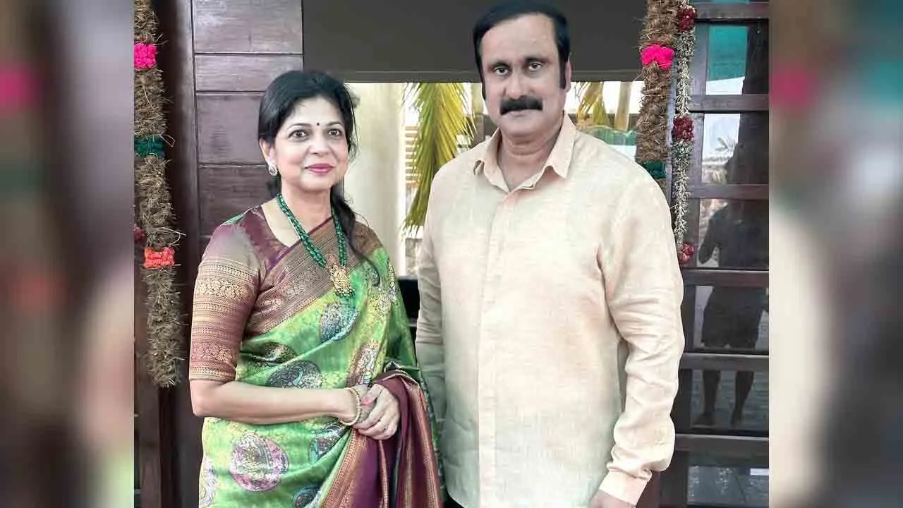  பென்னாகரத்தில் அன்புமணி,  செய்யாறில் சௌமியா போட்டி?