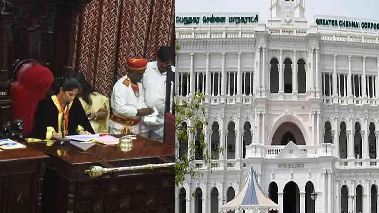  Chennai Corporation issues order to fine Rs 1 lakh for keeping pitbulls and Rottweilers 