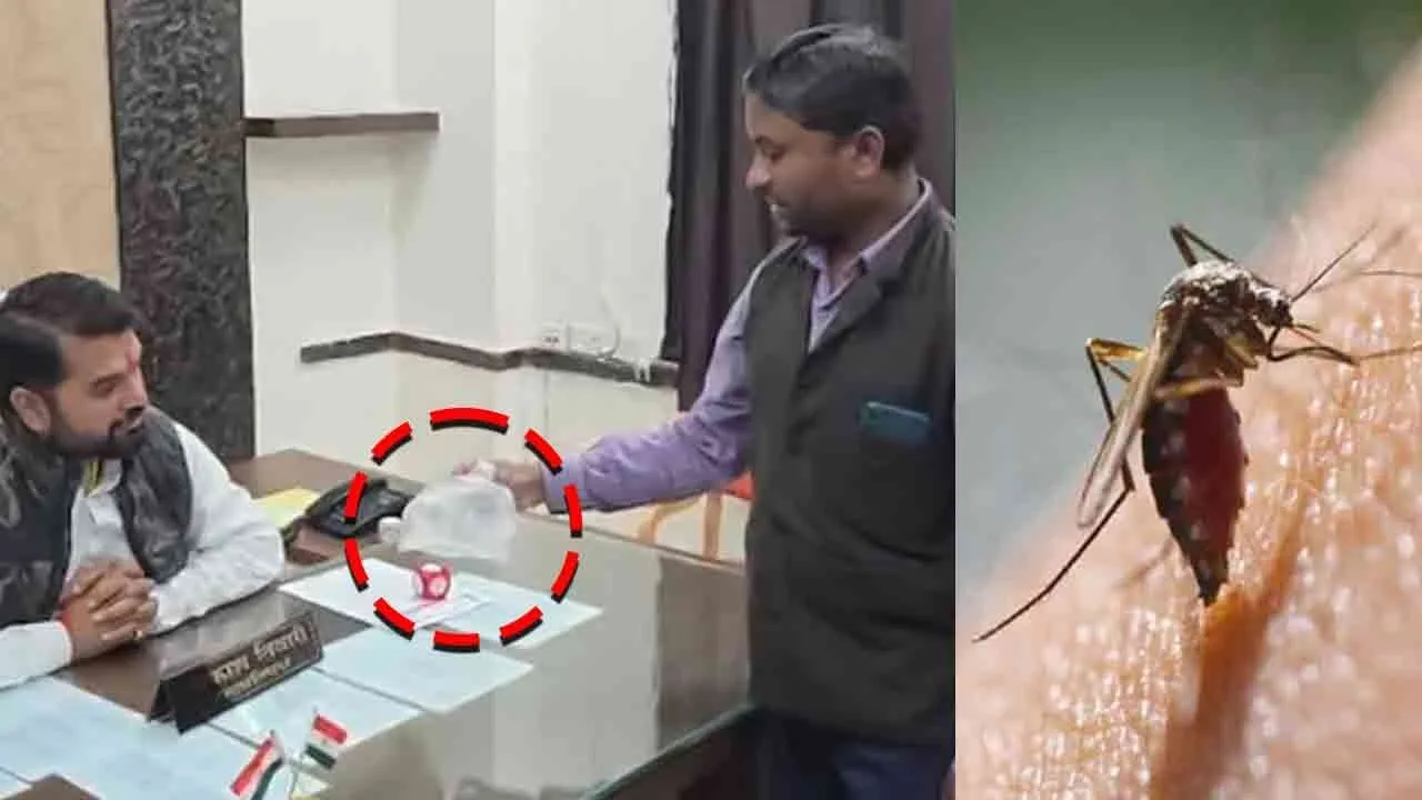  young man caught mosquitoes and tied them up in a package a novel complaint in chhattisgarh 