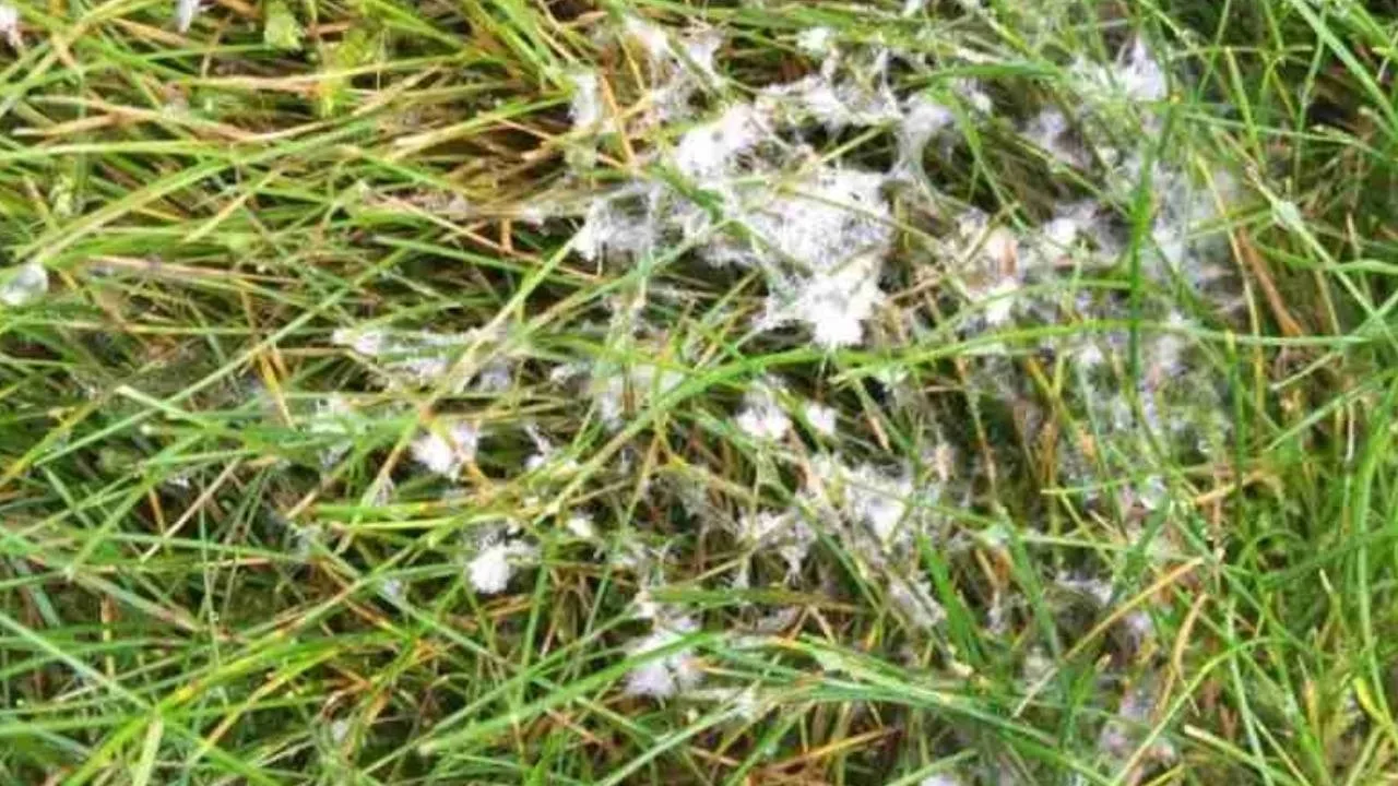  தமிழ்நாட்டில் ஒரு மாவட்டத்துக்கு உறைபனி எச்சரிக்கை!