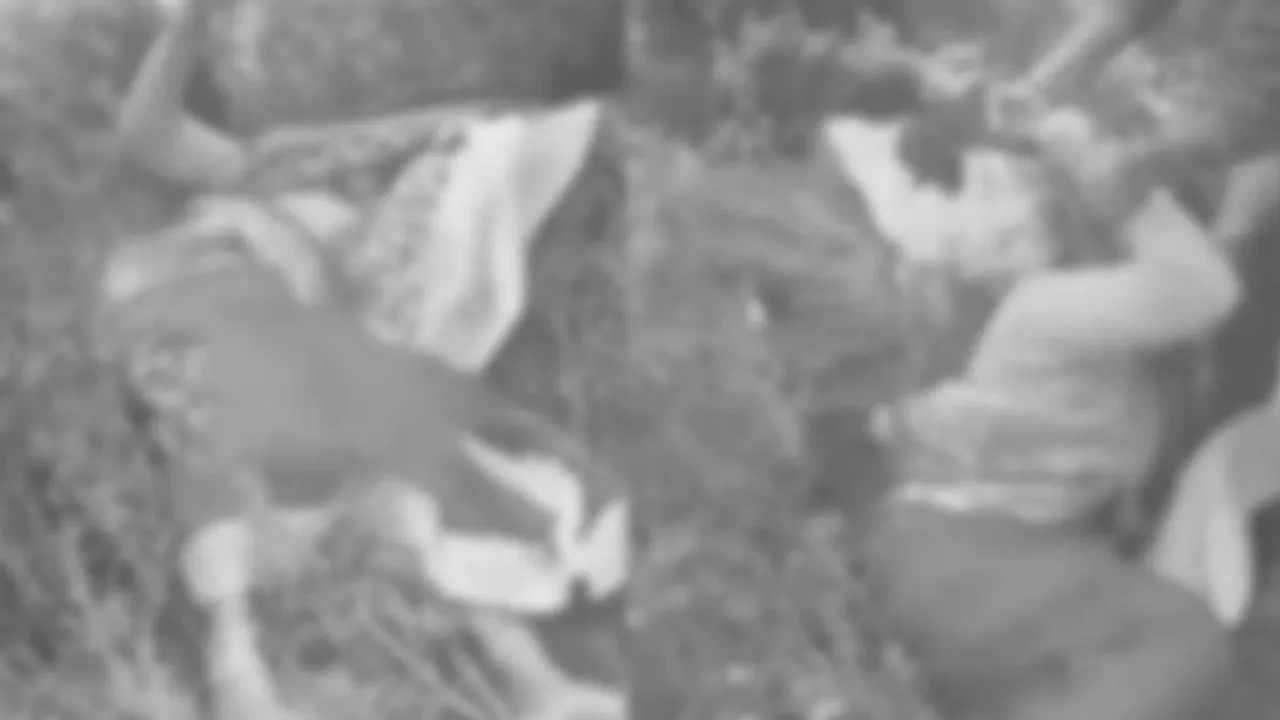  food safety Photograph: (school) 