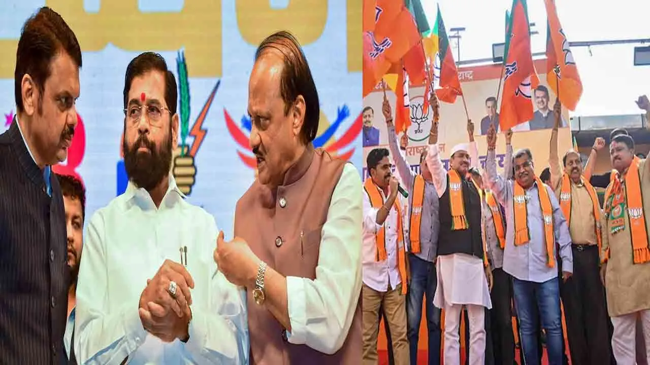  BJP alliance wins Maharashtra local body elections and Opposition parties defeat 