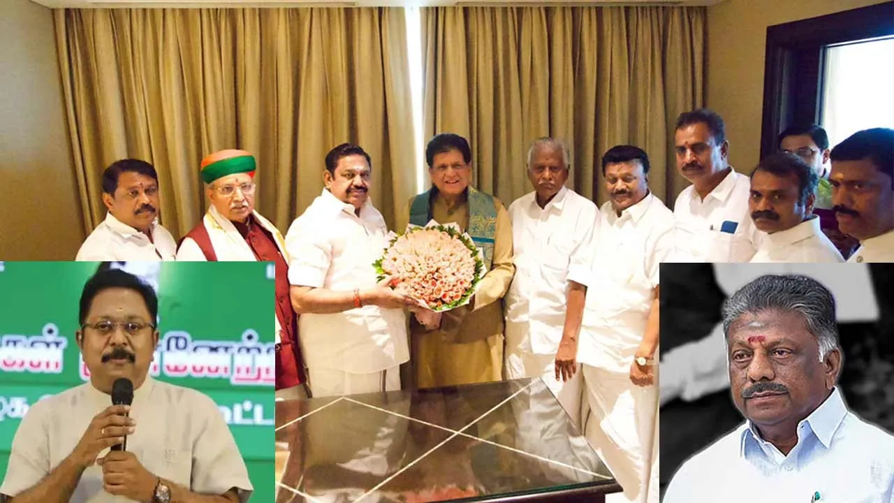  admk Photograph: (politics) 