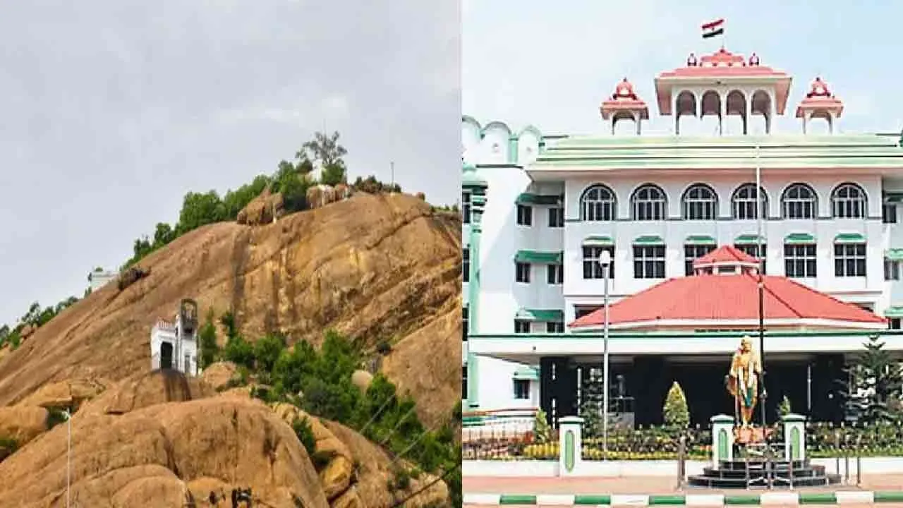  Court orders dargah reply on Case seeking ban sacrifice in thiruparankundram 