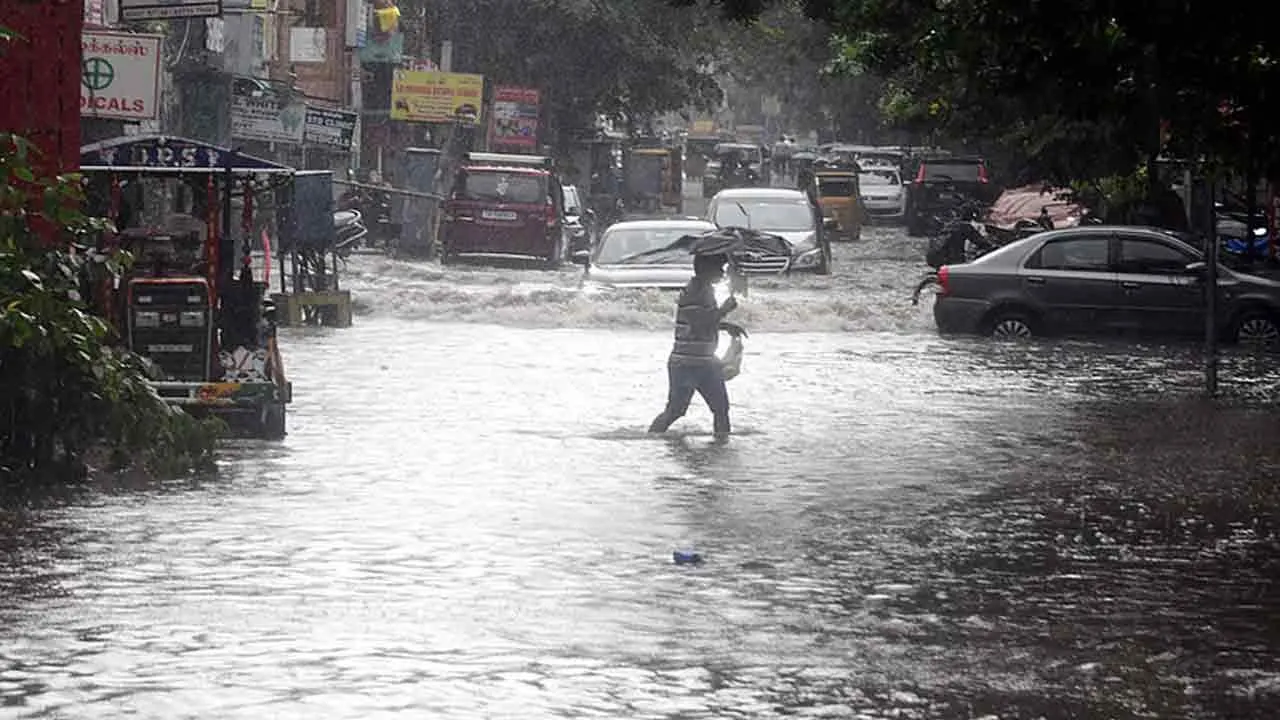  heavy rain Photograph: (tamilnadu) 