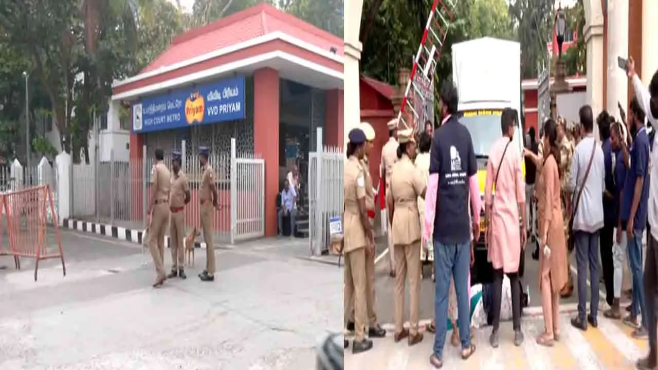  Dog lovers argue with chennai corporation employees over opposition to capturing stray dogs 