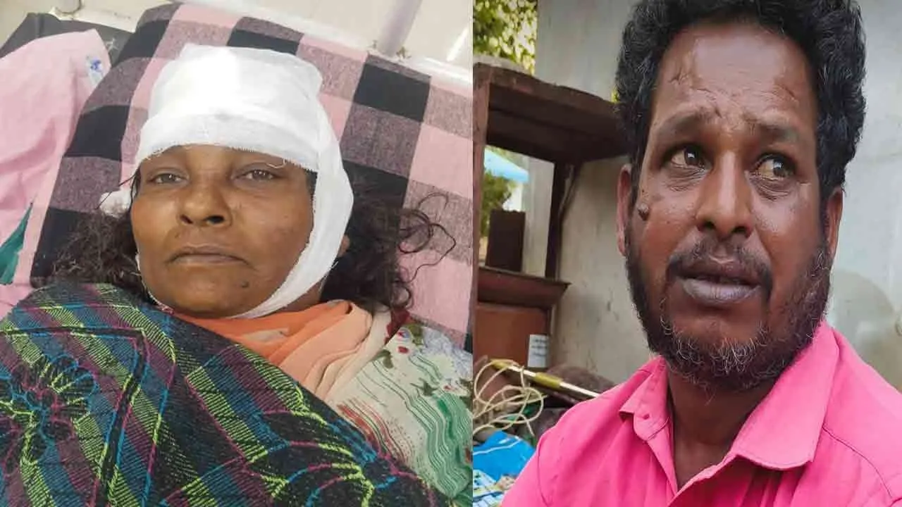  Elderly woman hit and gold chain snatched in pudukkottai 