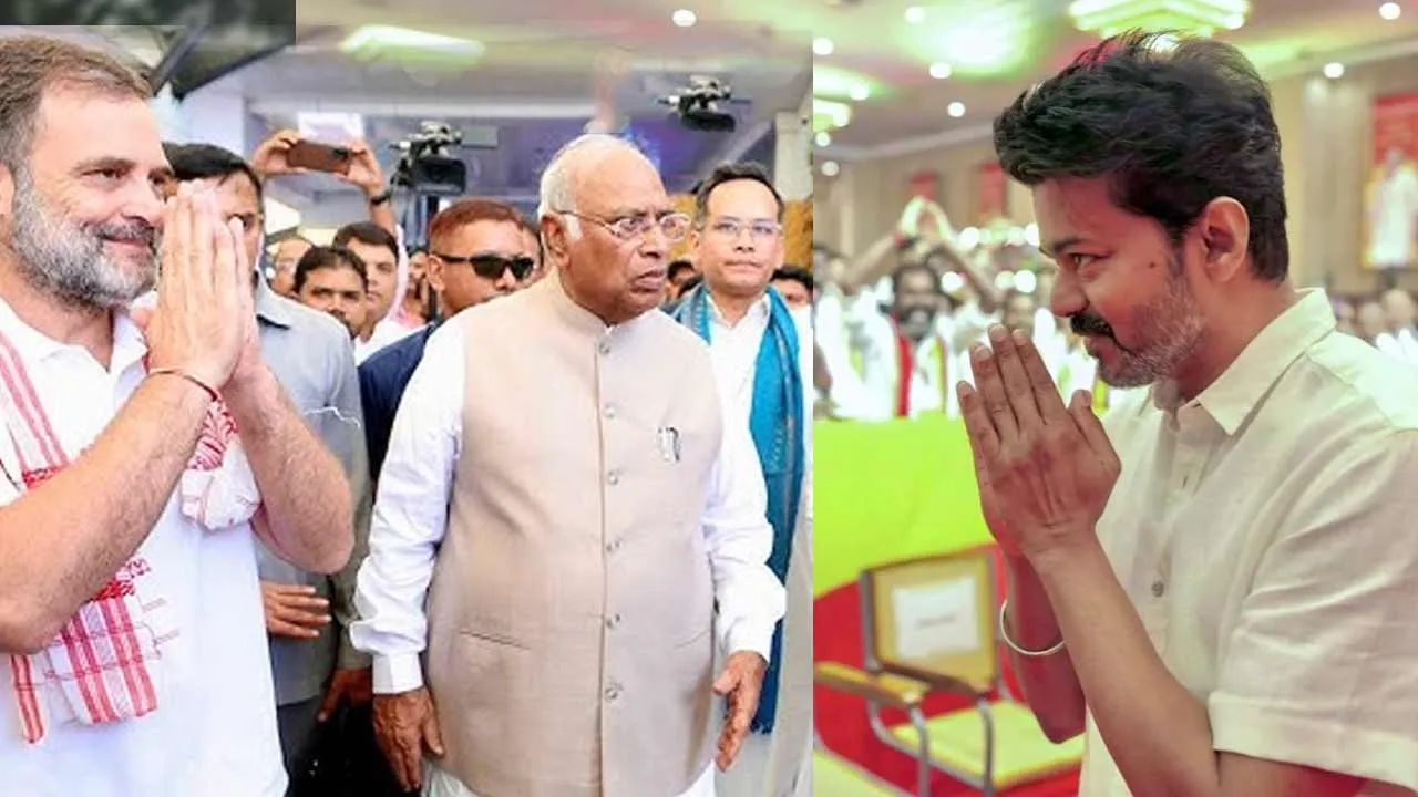  'Will Congress enter the river trusting in vijay? Do they know history of tmc?' - warns Pudumadam Haleem Photograph: (congress) 