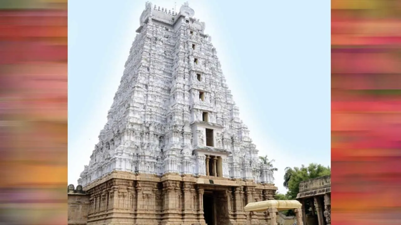  அரவணை அமுது (3) - முனைவர் ந.விஜயசுந்தரி