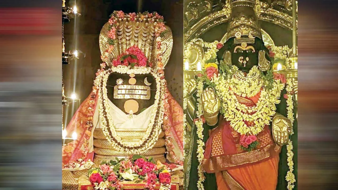  திருமணத் தடைநீக்கும் திருத்துருத்தி திருத்தலம்!