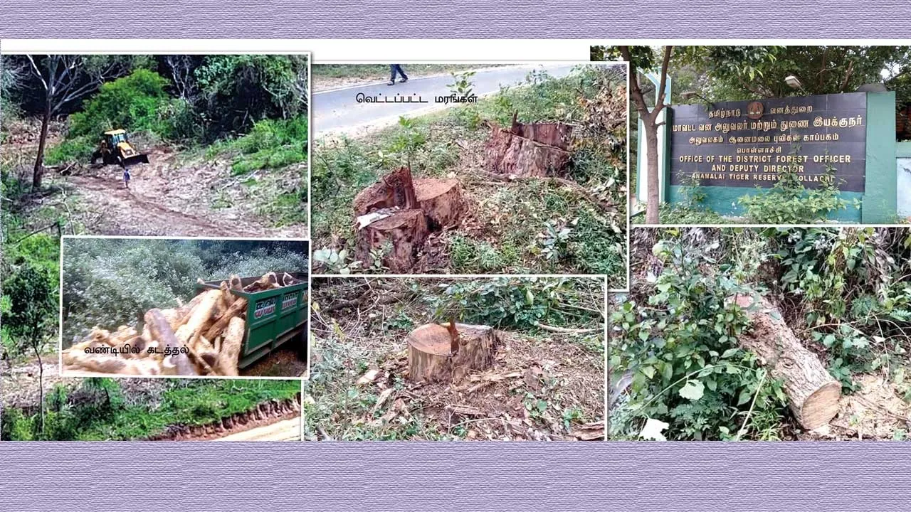  ஊழலோ.... ஊழல்..! சர்ச்சையில் ஆனைமலை புலிகள் காப்பாகம்!