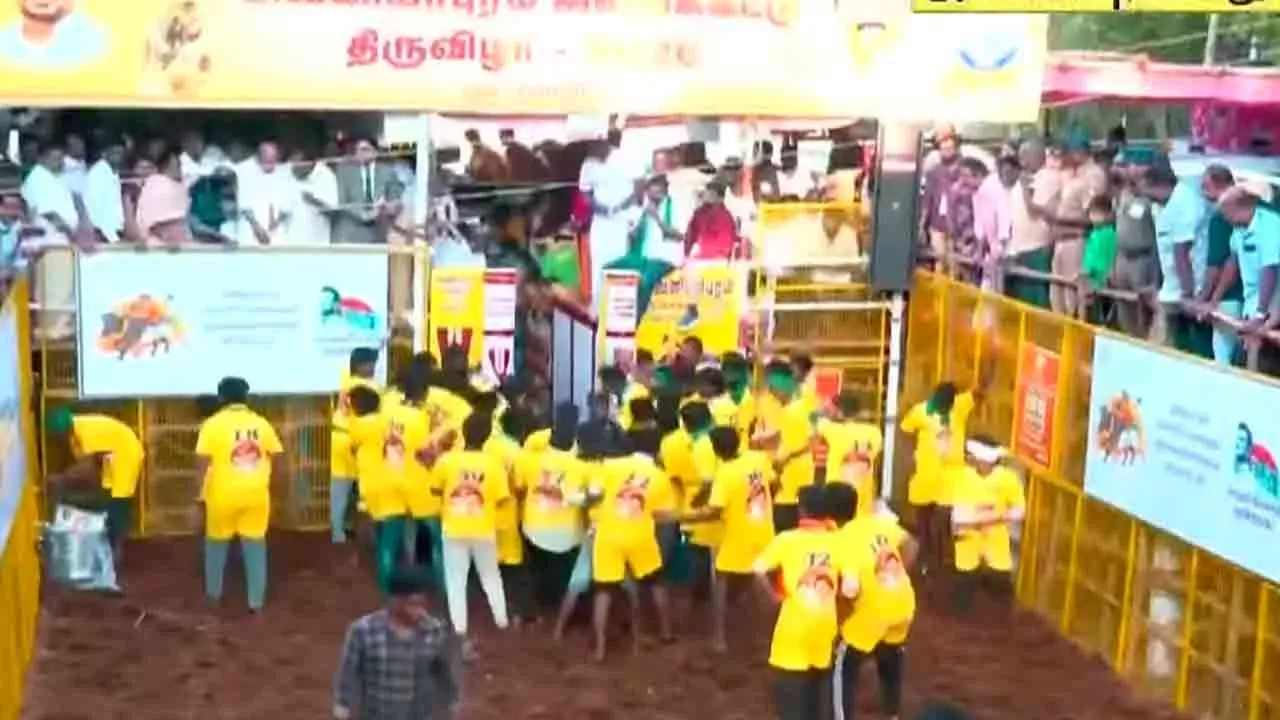  Tragedy befalls the owner before the Avaniyapuram Jallikattu competition 