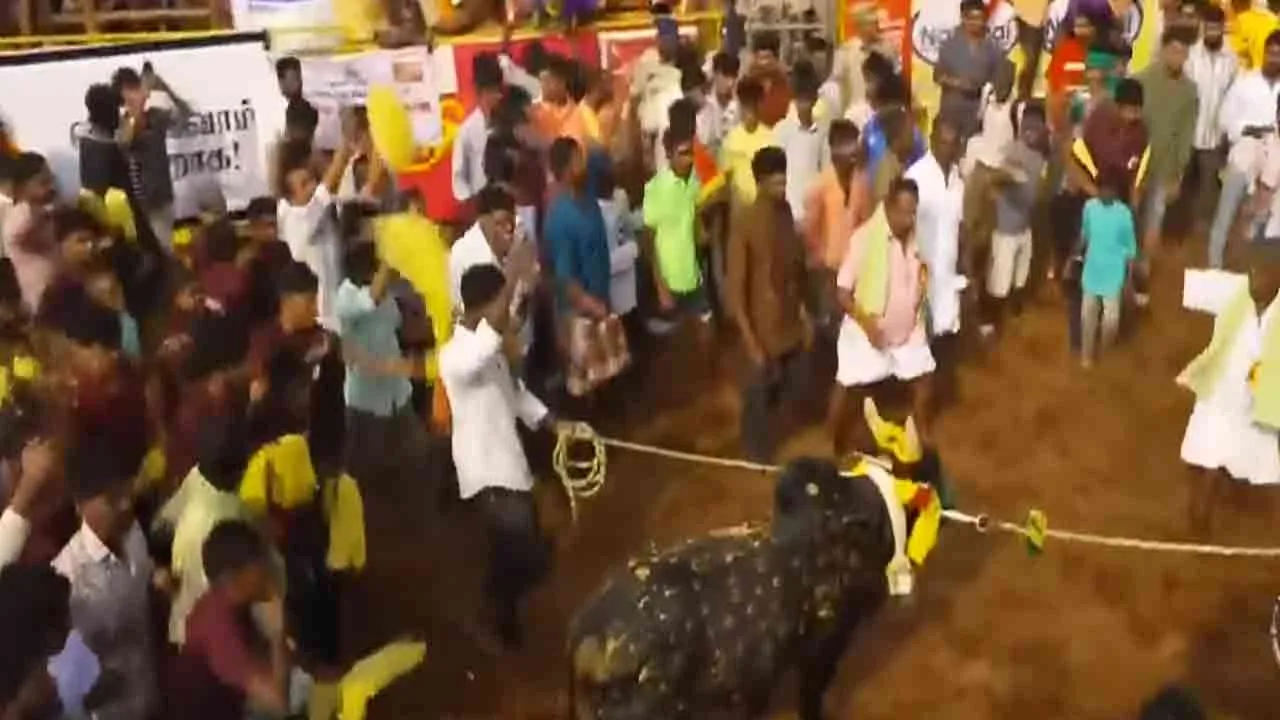  சீறி பாயும் காளைகள், அடக்கும் வீரர்கள்; தொடங்கியது பாலமேடு ஜல்லிக்கட்டு