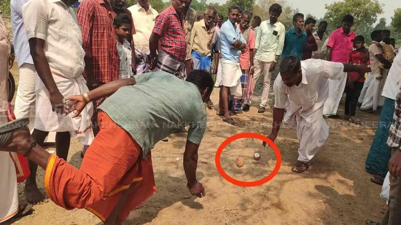  the battlefield coconut game in pudukkottai on pongal festival 