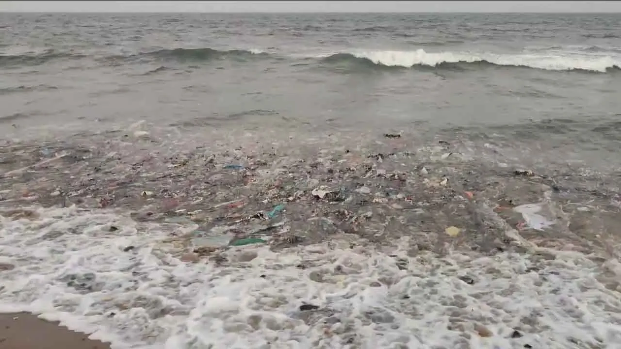  பிளாஸ்டிக் கழிவுகள் அதிகரிக்கும் கோவளம் ப்ளூபீச்; உயிரிழந்து கரை ஒதுங்கிய அரிய வகை ஆமை!