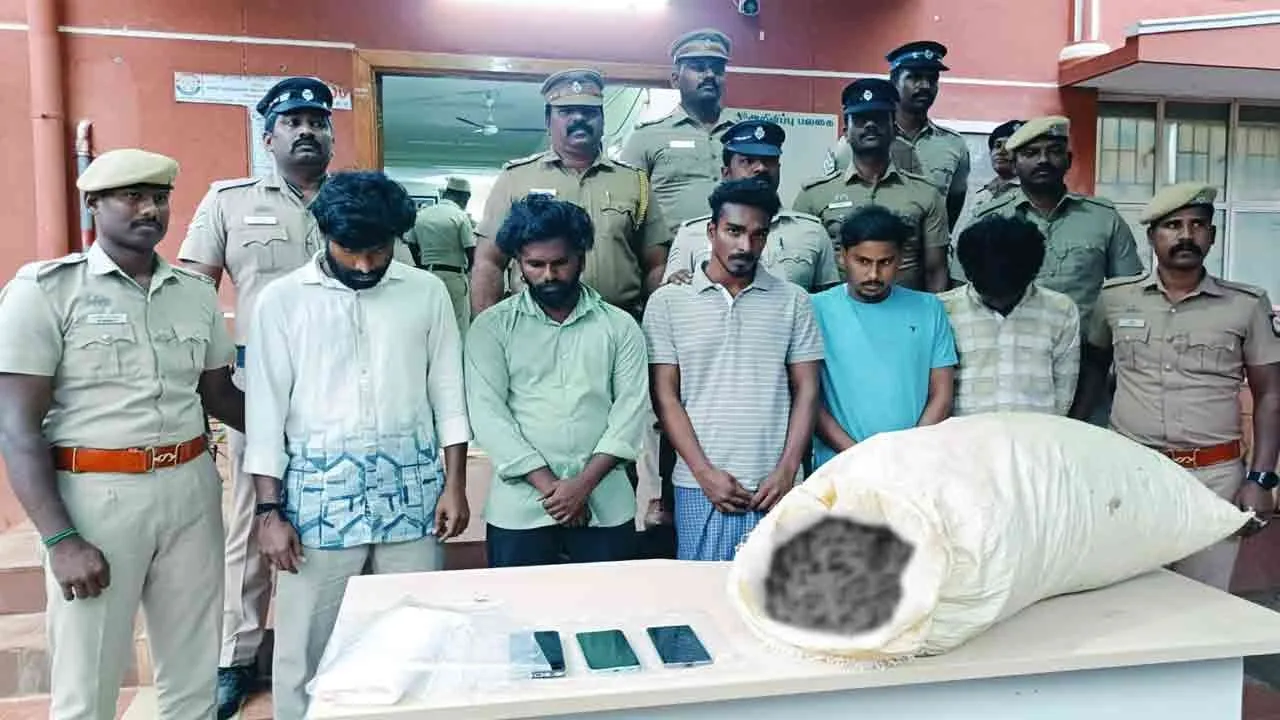  21 கிலோ க@ஞ்சா பறிமுதல்; 6 பேர் கைது!