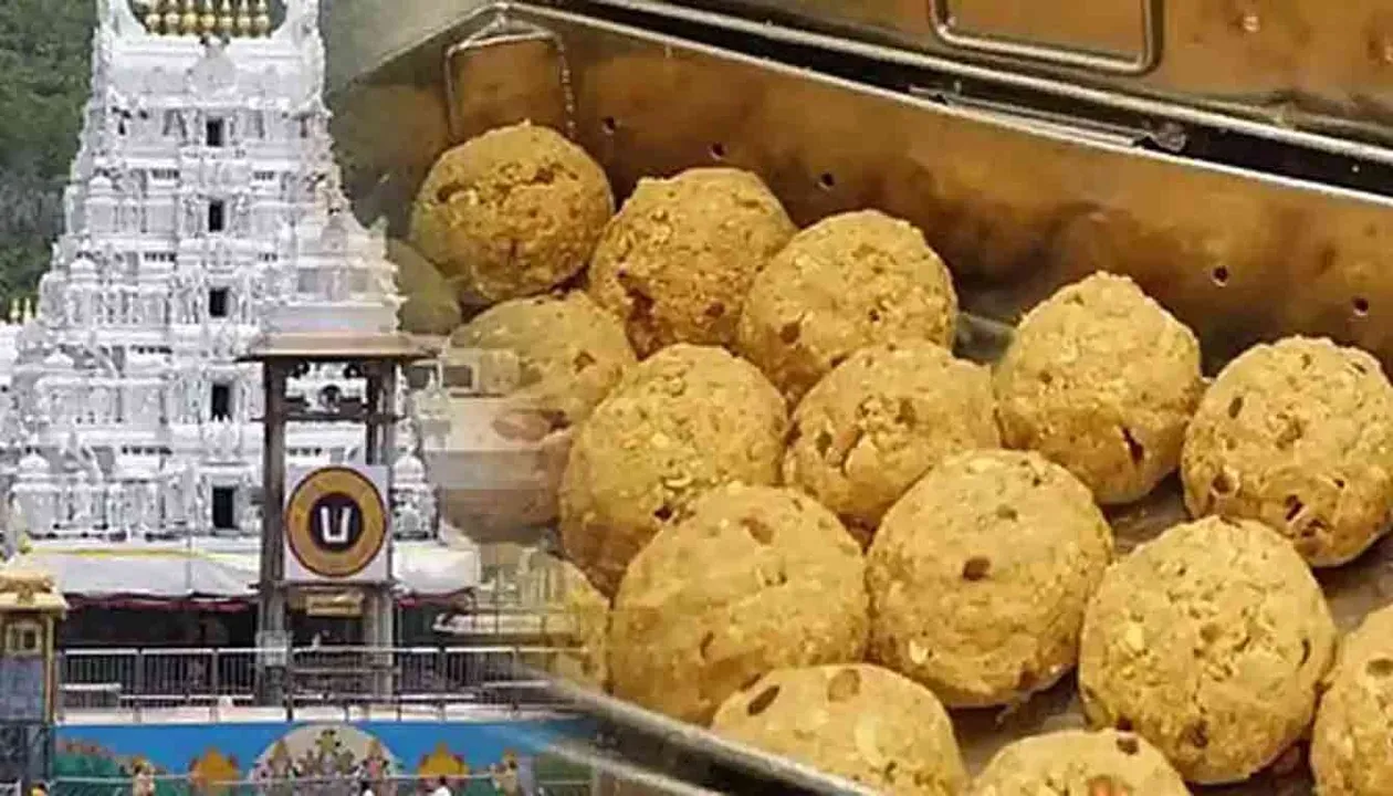  'Tirupati Laddu' without ghee - Rs 250 crore scam exposed Photograph: (CBI) 