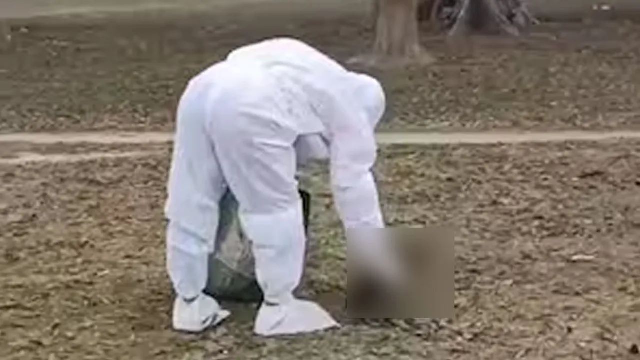  BIHAR Photograph: (VIRUS) 