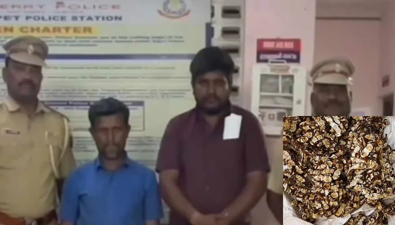  'If you perform puja with tamarind...' - Money scam as a remedy Photograph: (police) 