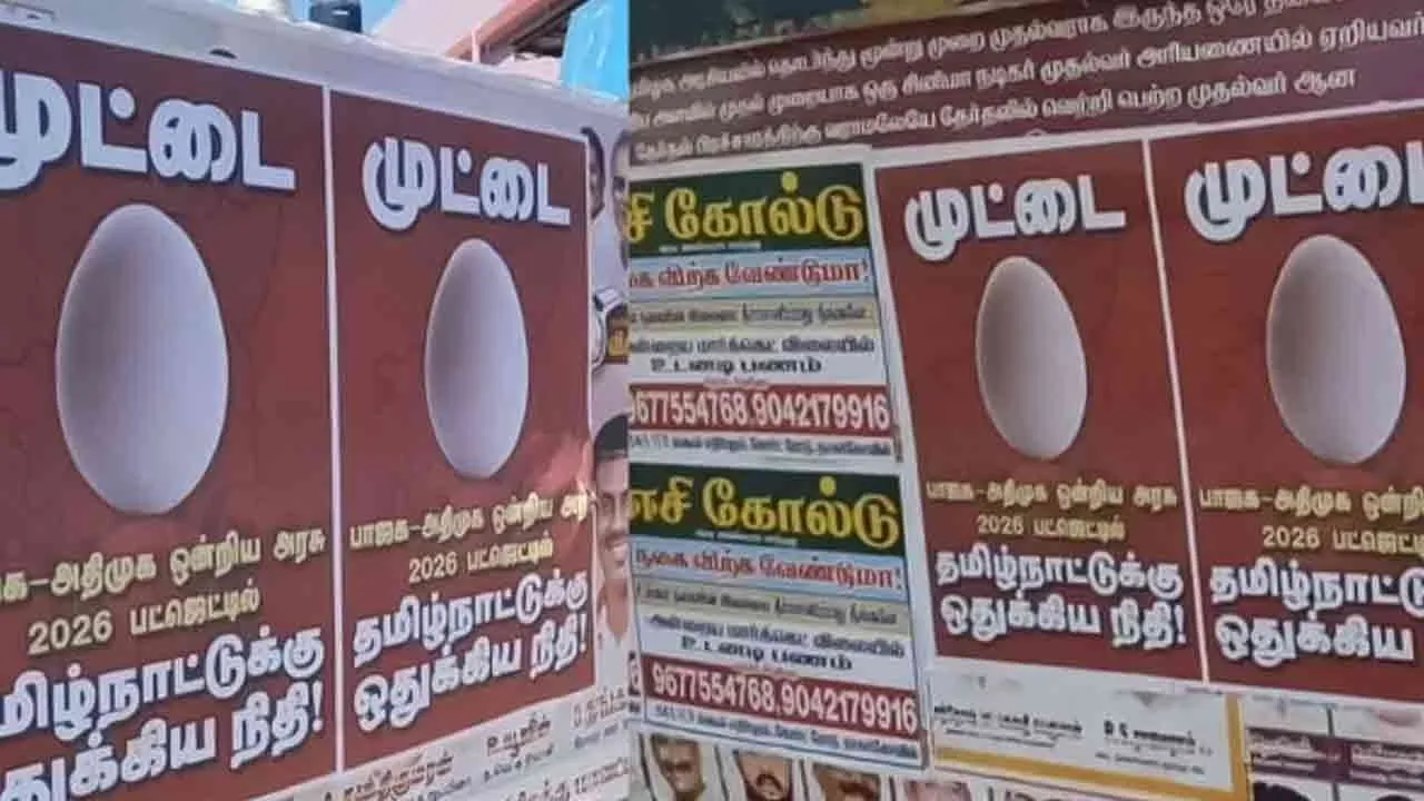  Egg poster is the talk of the town on criticized Central government budget 