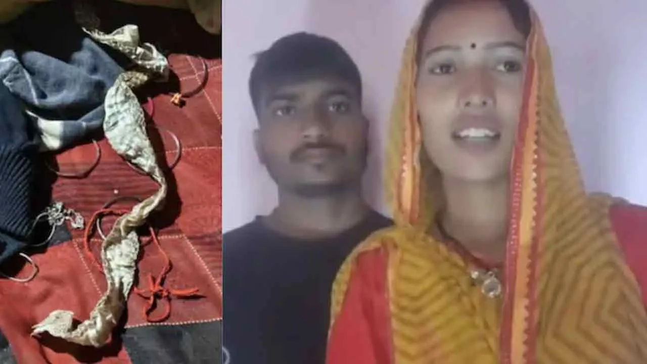  'I will come myself...' - Did the woman turn into a snake? - The twist at the end Photograph: (up) 