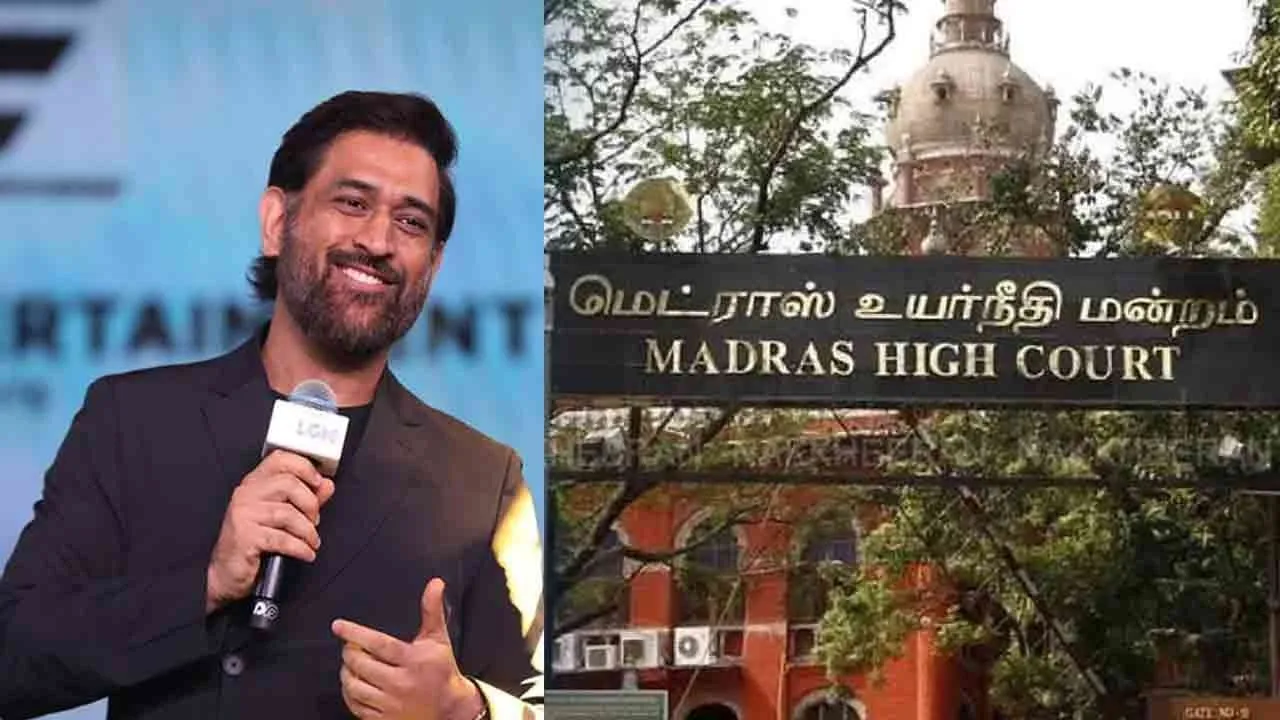  “ரூ. 10 லட்சத்தை தோனி செலுத்த வேண்டும்” - உயர்நீதிமன்றம் அதிரடி உத்தரவு!