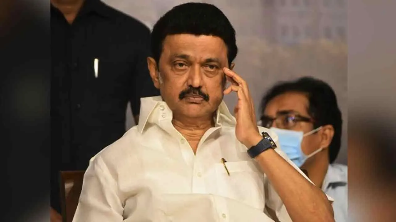  'DMK faces problems due to coalition government demand' - Madhimaran explains Photograph: (dmk) 