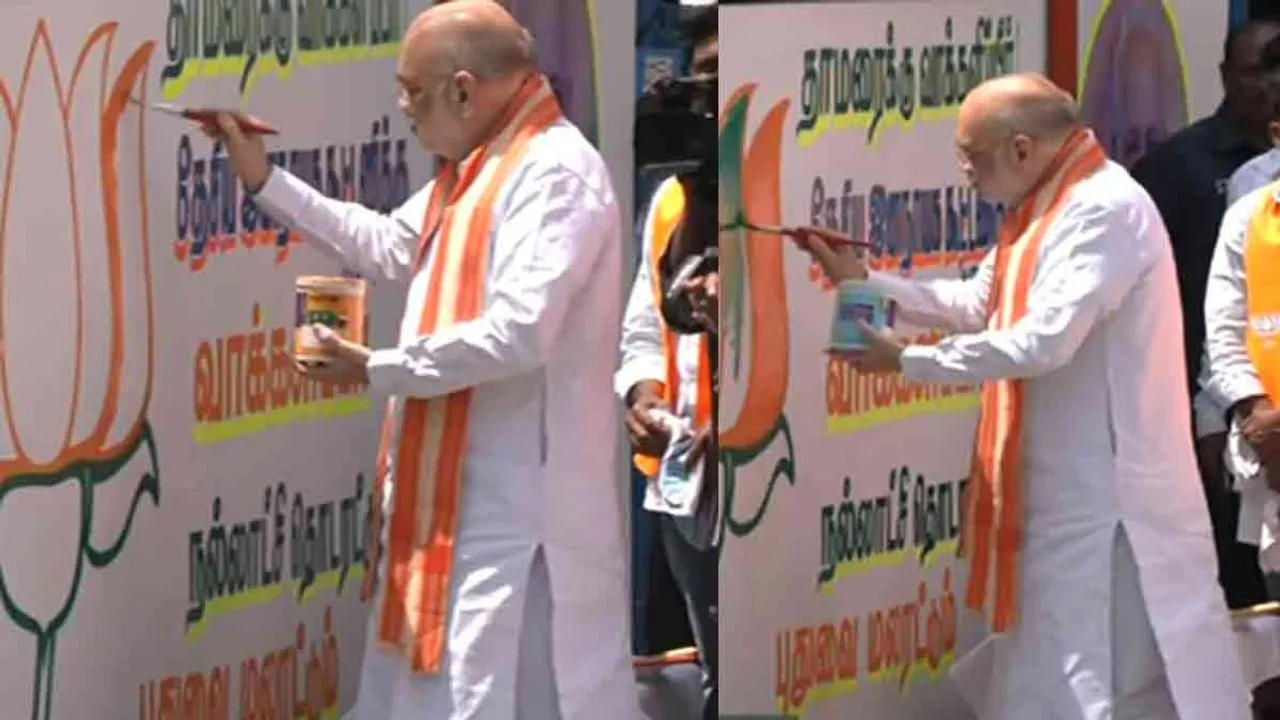  Confusion over 'Amit Shah turned artist...' Photograph: (bjp) 