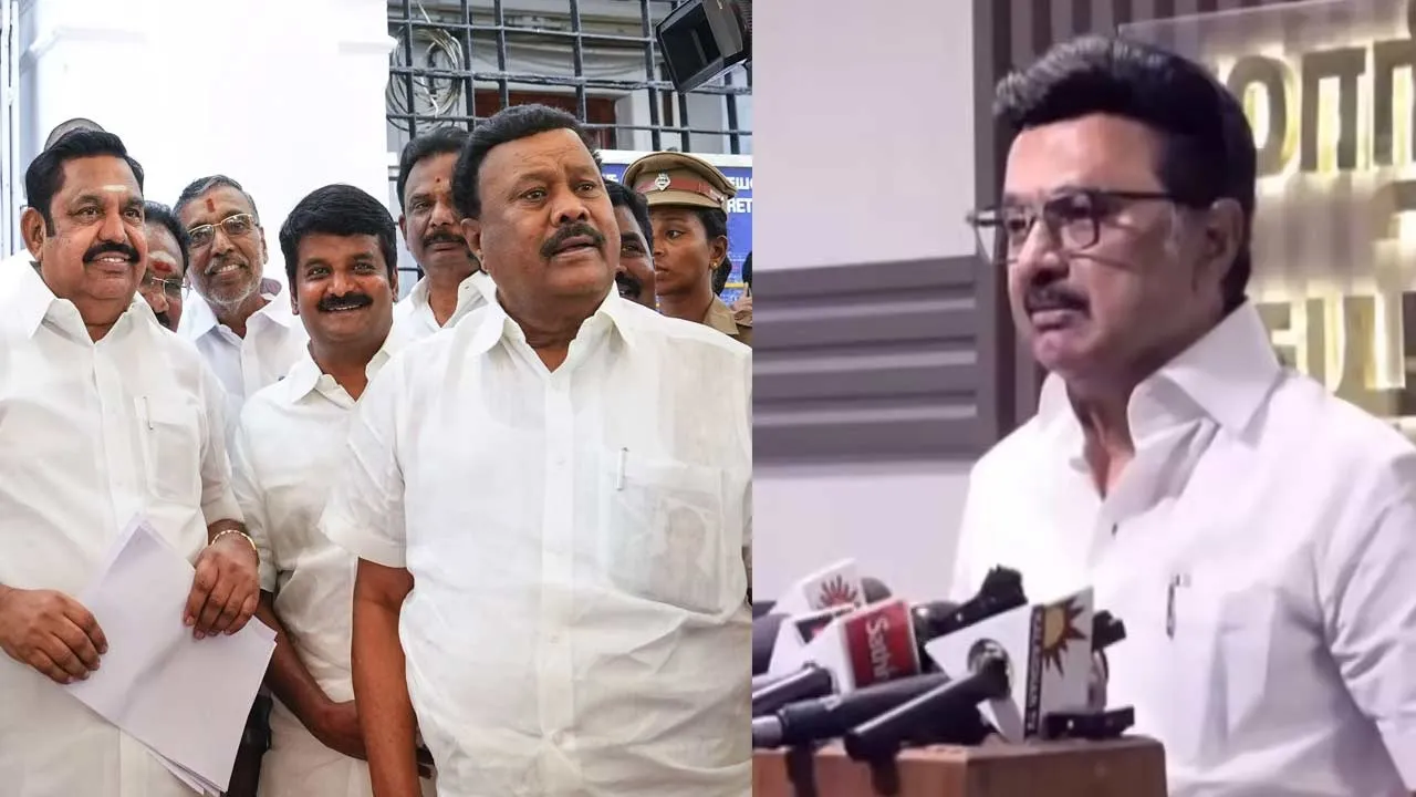  dmk Photograph: (admk) 