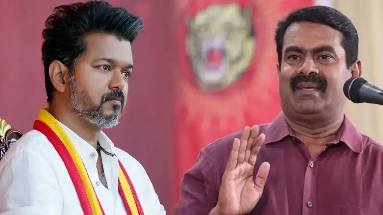  'Vijay, who will raise Seeman?' - Sangathamizan's concern Photograph: (tvk seeman) 