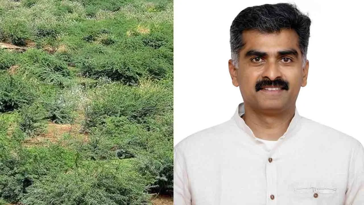  சீமைக்கருவேல மர அழிப்பு வழக்கு; தீர்ப்புக்கு காத்திருக்கும் துரை வைகோ!