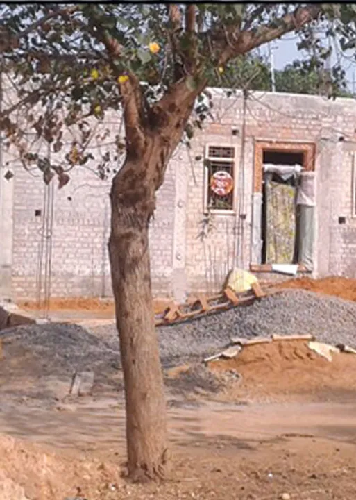  அ.தி.மு.க. பிரமுகரின் "அடேங்கப்பா' வேலை!