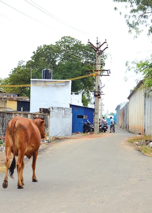  ராணுவத்தினர் கொதிப்பு! ஆள் இல்லா இடத்தில் கேண்டீன்?