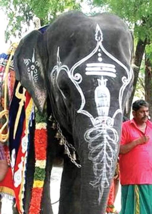  மாவலி பதில்கள்