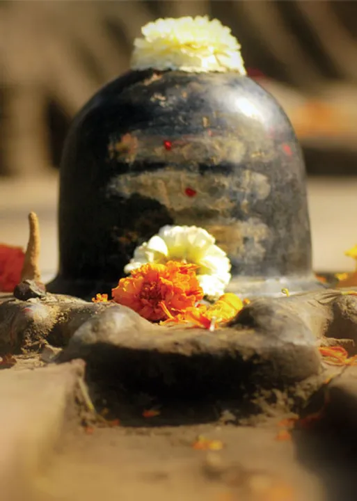  ஜீவகாருண்யம் வளர்க்கும் தானங்கள்!