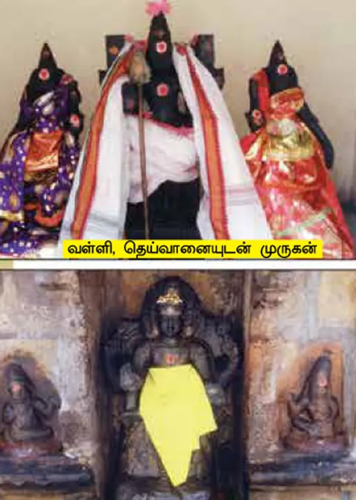  மங்கைநல்லூர் உறையும் பொன்னார் மேனியன்!