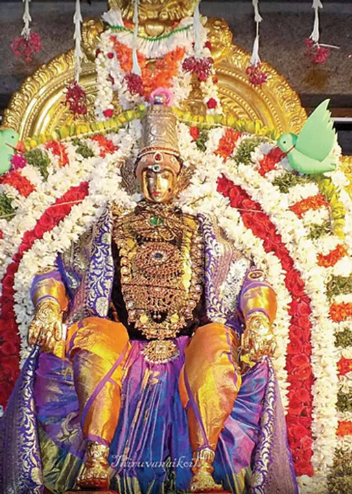  அனைத்து ஆற்றலும் தரும் ஆதிசக்தி! -முனைவர் இரா.இராஜேவரன்