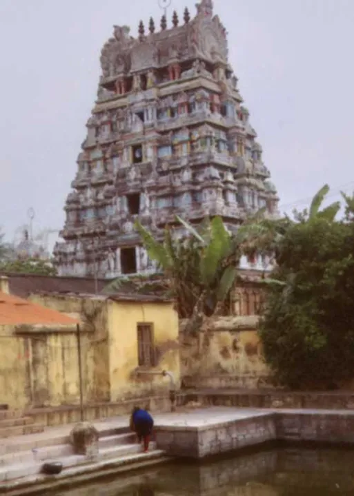  ஆல்போல் தழைத்தருள் வழங்கும் ஆலங்காட்டீசர்!