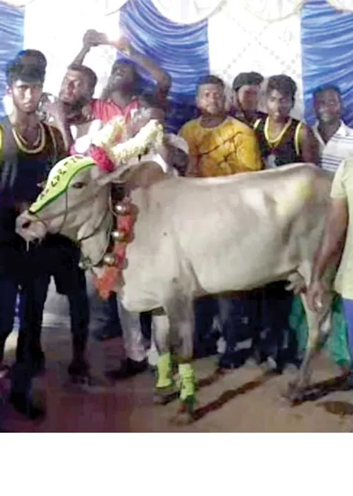  சிக்னல்!