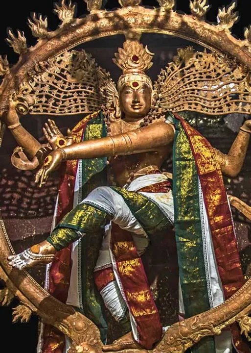  இயற்கையைக் காப்போம்! - யோகி சிவானந்தம்