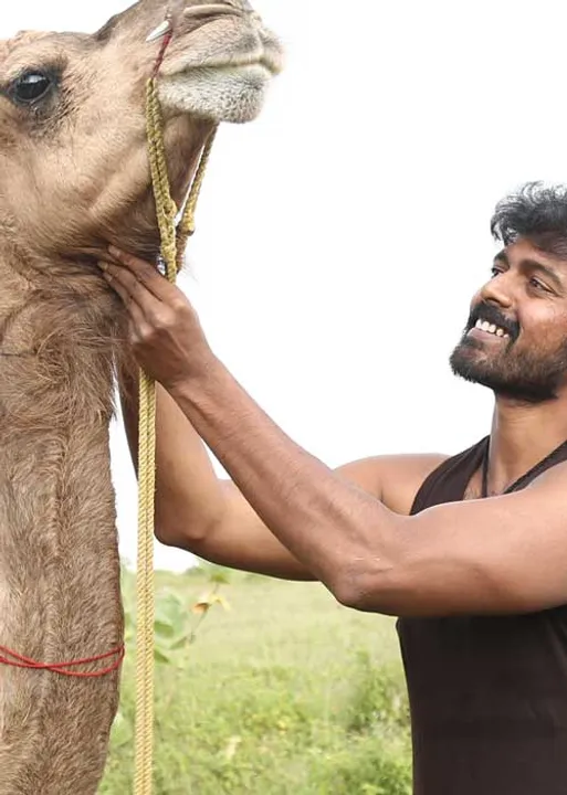  இதுபோல் வந்ததில்லை